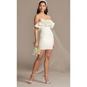 David’s x Bardot Strapless Taffeta Mini Dress
